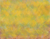 Joyful Awakening